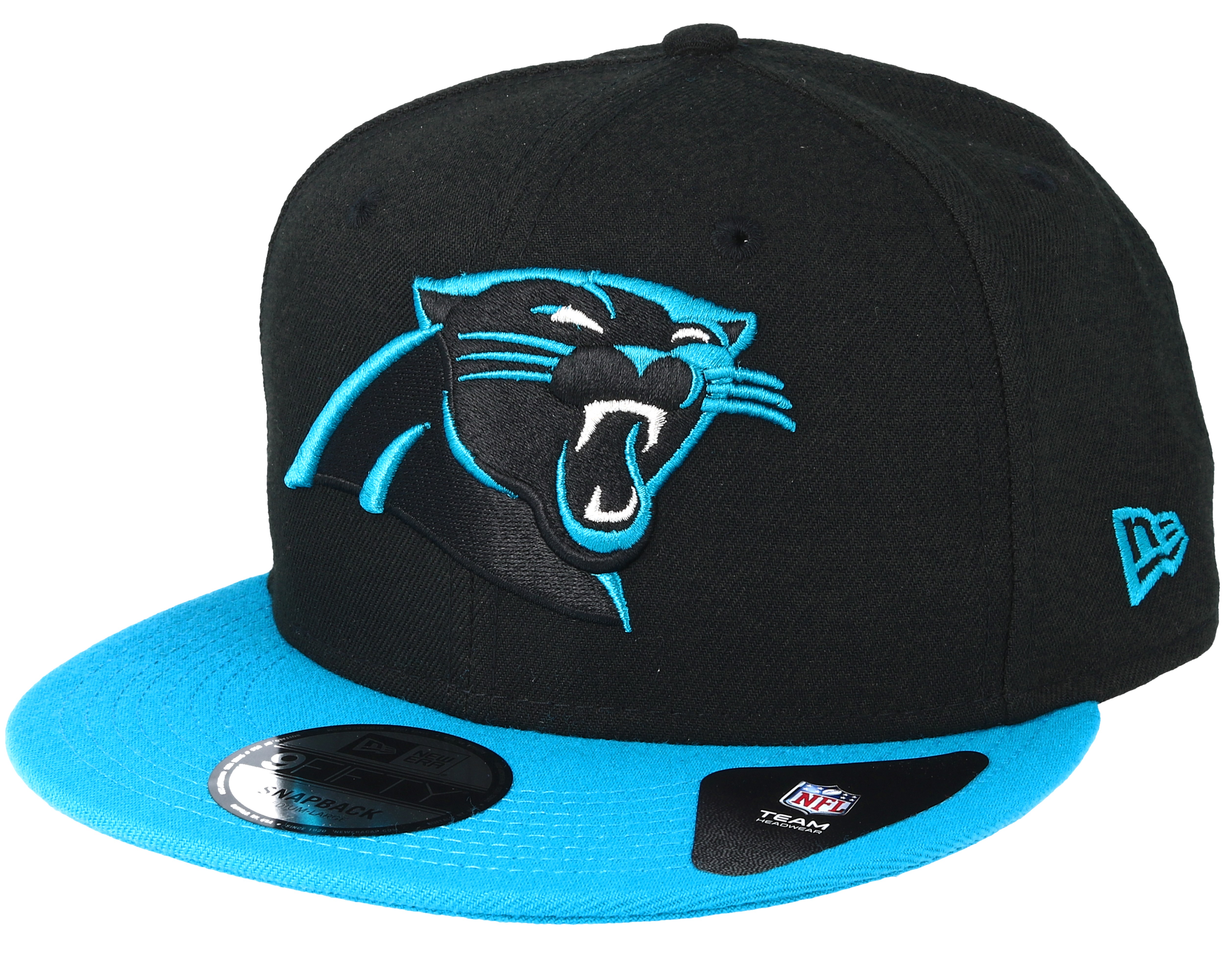 panthers team panthers team